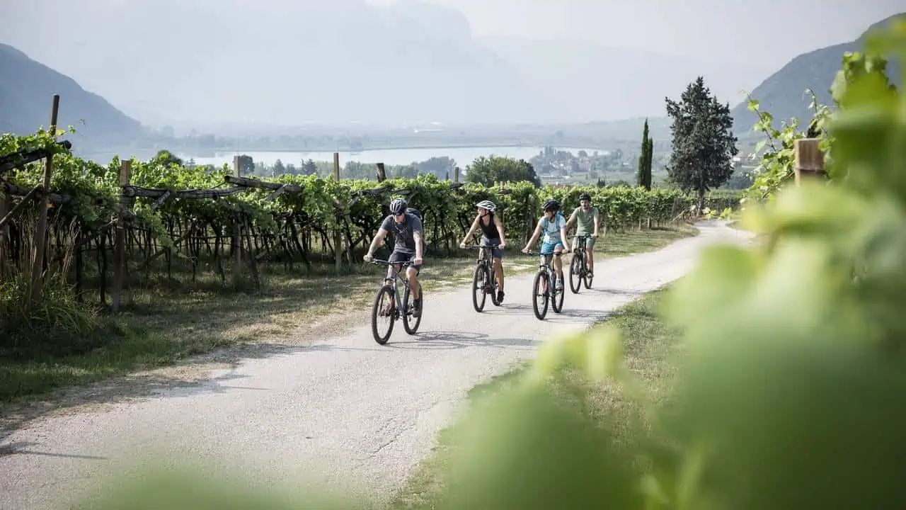 Cykling på cykelleden vid Bozen/Bolzano Dolomiterna