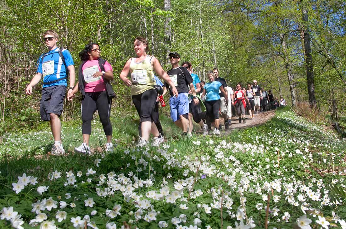 Linnemarschen kundevent inspirationskväll