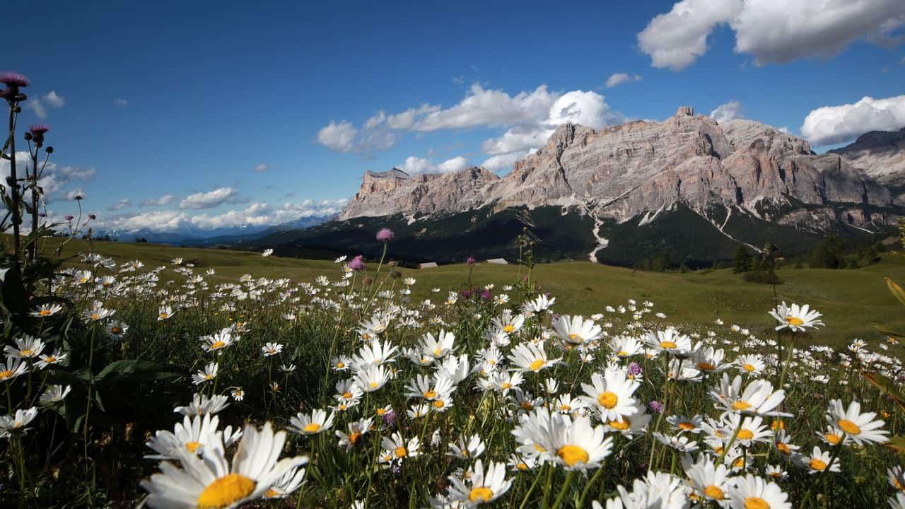 Sas dla Crusc-Heiligkreuzkofel-Lavarela-Alta Badia