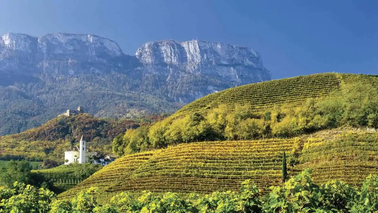 Vinvandring i Sydtyrolen Italien