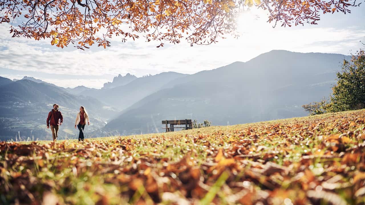 Höstvandring kastanj Sydtyrolen italien