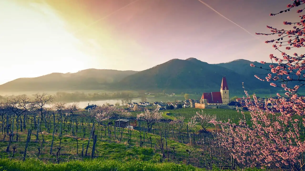 Vinvandring Wachau World Heritage Trail