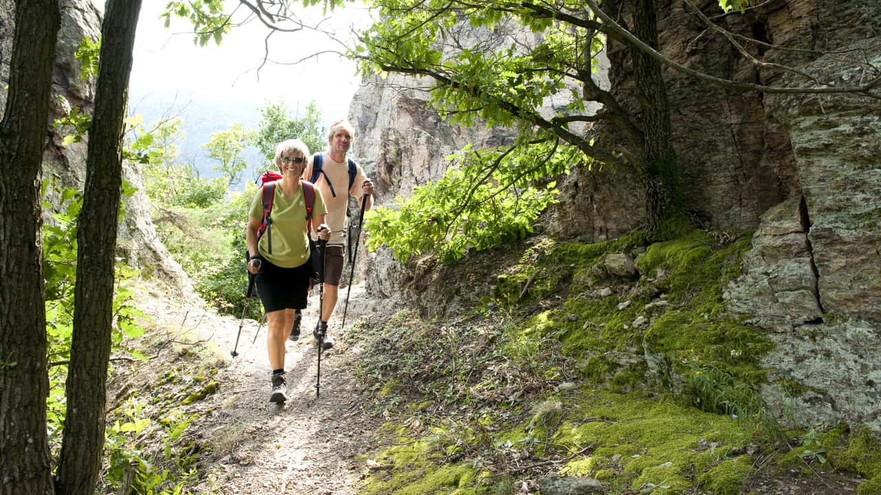 Vandring Wachau Welterbesteig