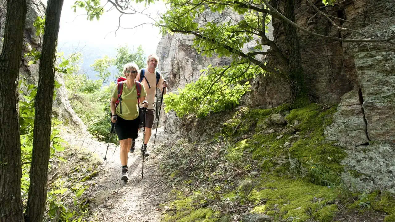 Vandring Wachau Welterbesteig