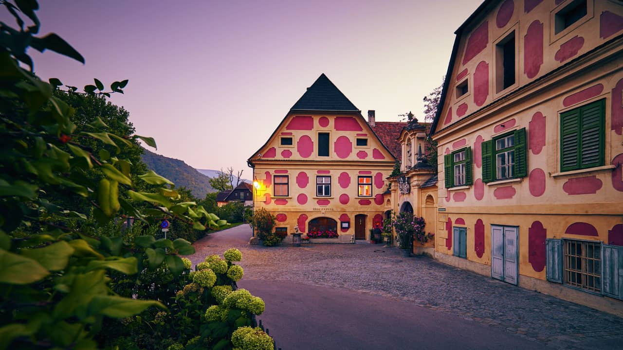 vinvandring vingården Holzapfel Weissenkirchen Wachau