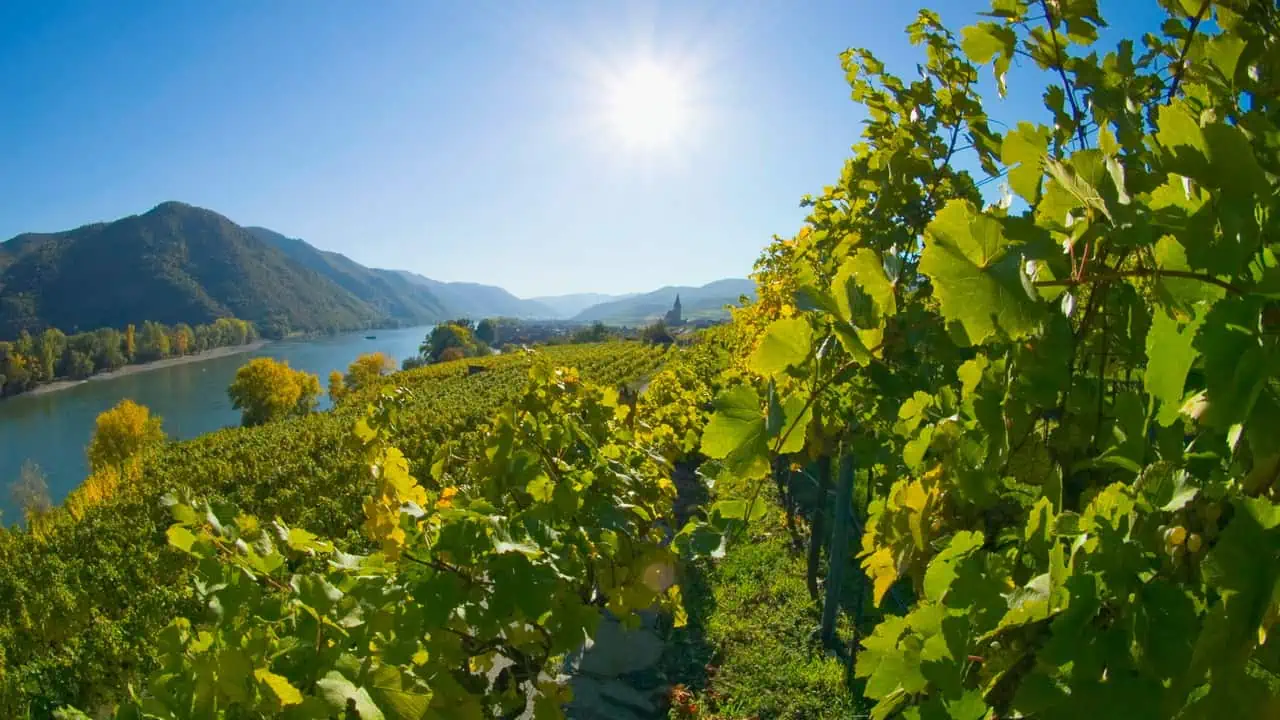 vandra Wachau Ried Achleiten Weissenkirchen