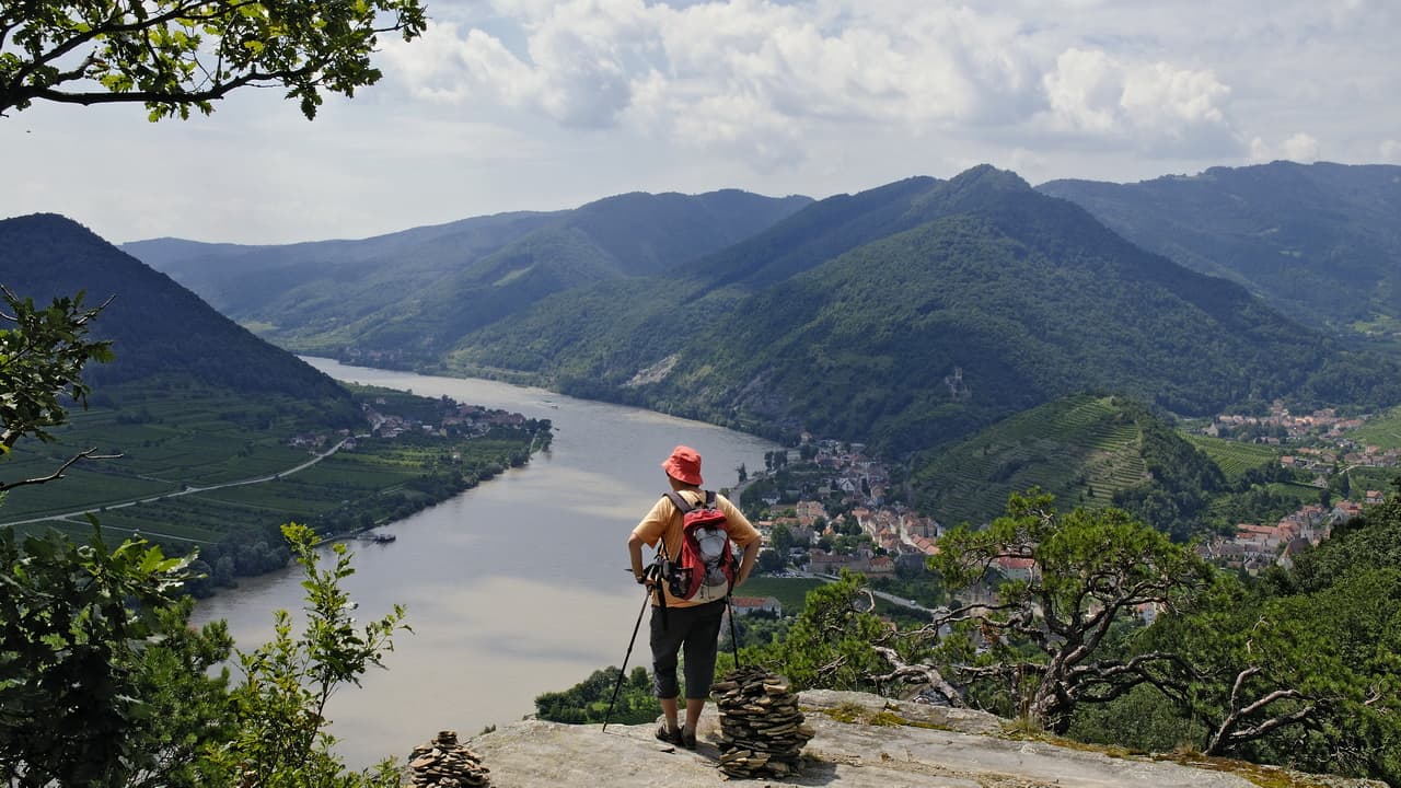 Vandring Wachau Spitz Donau World Heritage Trail Welterbesteig