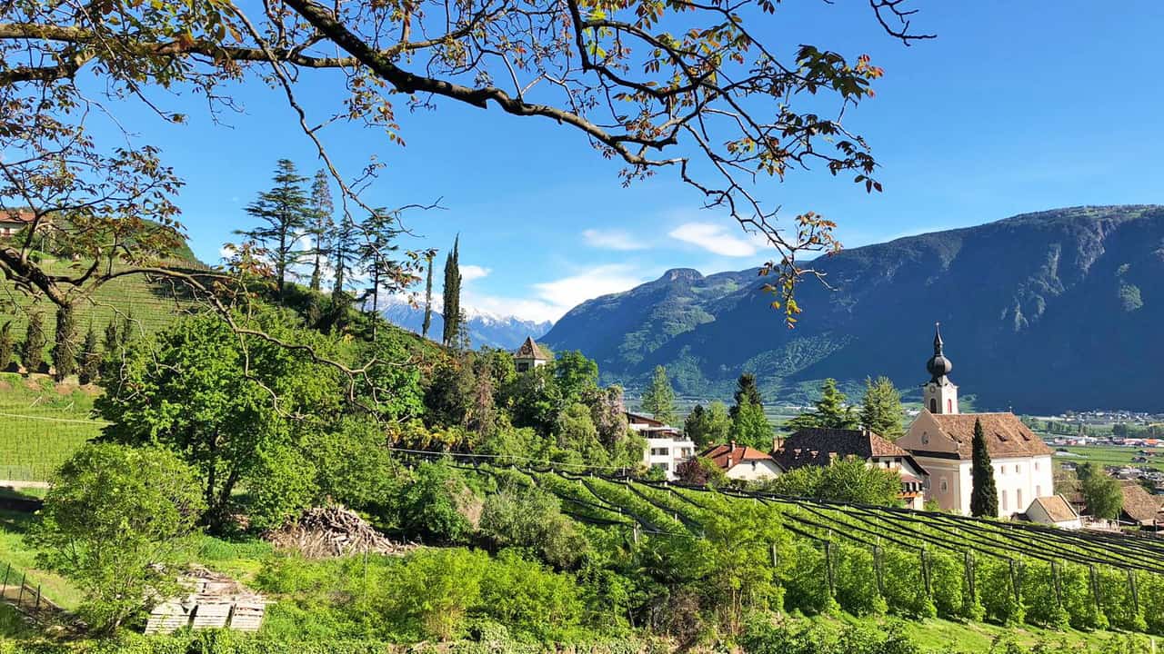 Cykla München Meran-Merano vingård