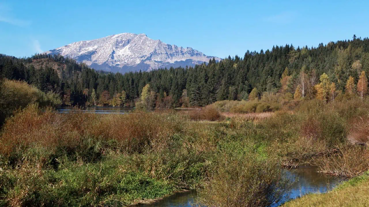 Berget Ötscher från Mitterbach