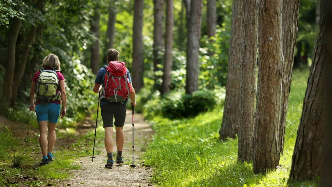 Wiener Wallfahrerweg börjar i Perchtoldsdorf vandrare i skog