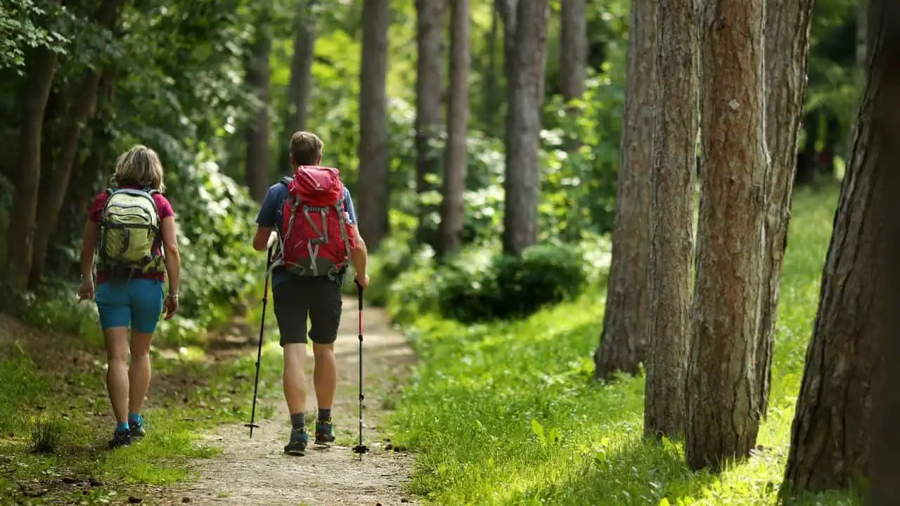 Wiener Wallfahrerweg börjar i Perchtoldsdorf vandrare i skog