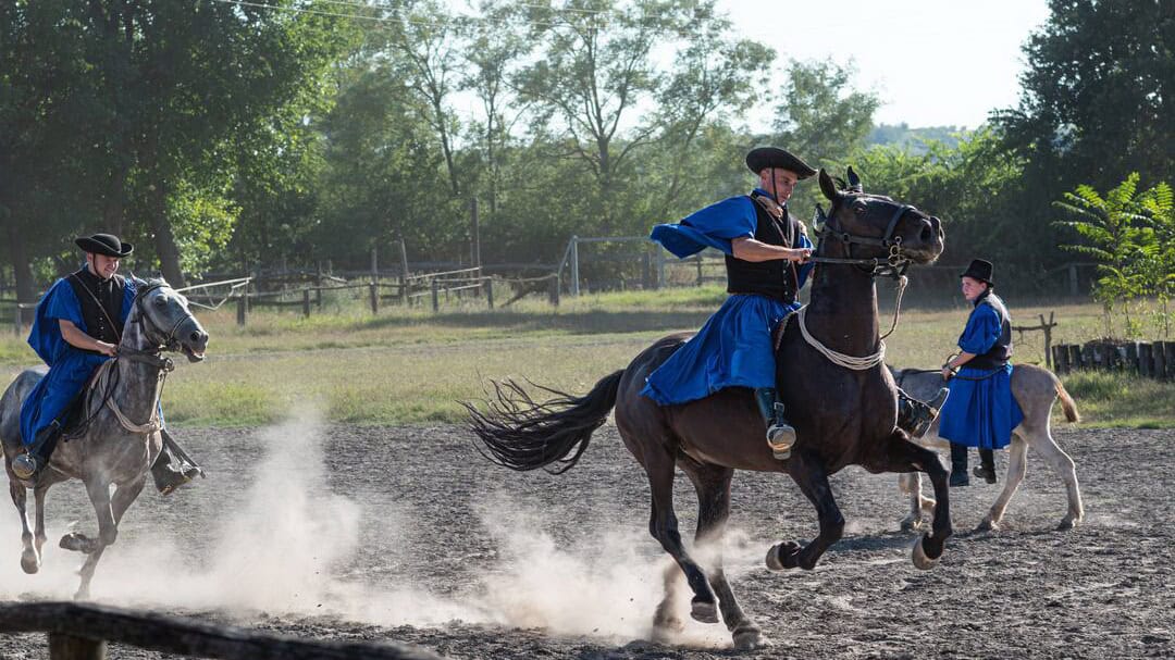 Riduppvisning på ungerska pusztan