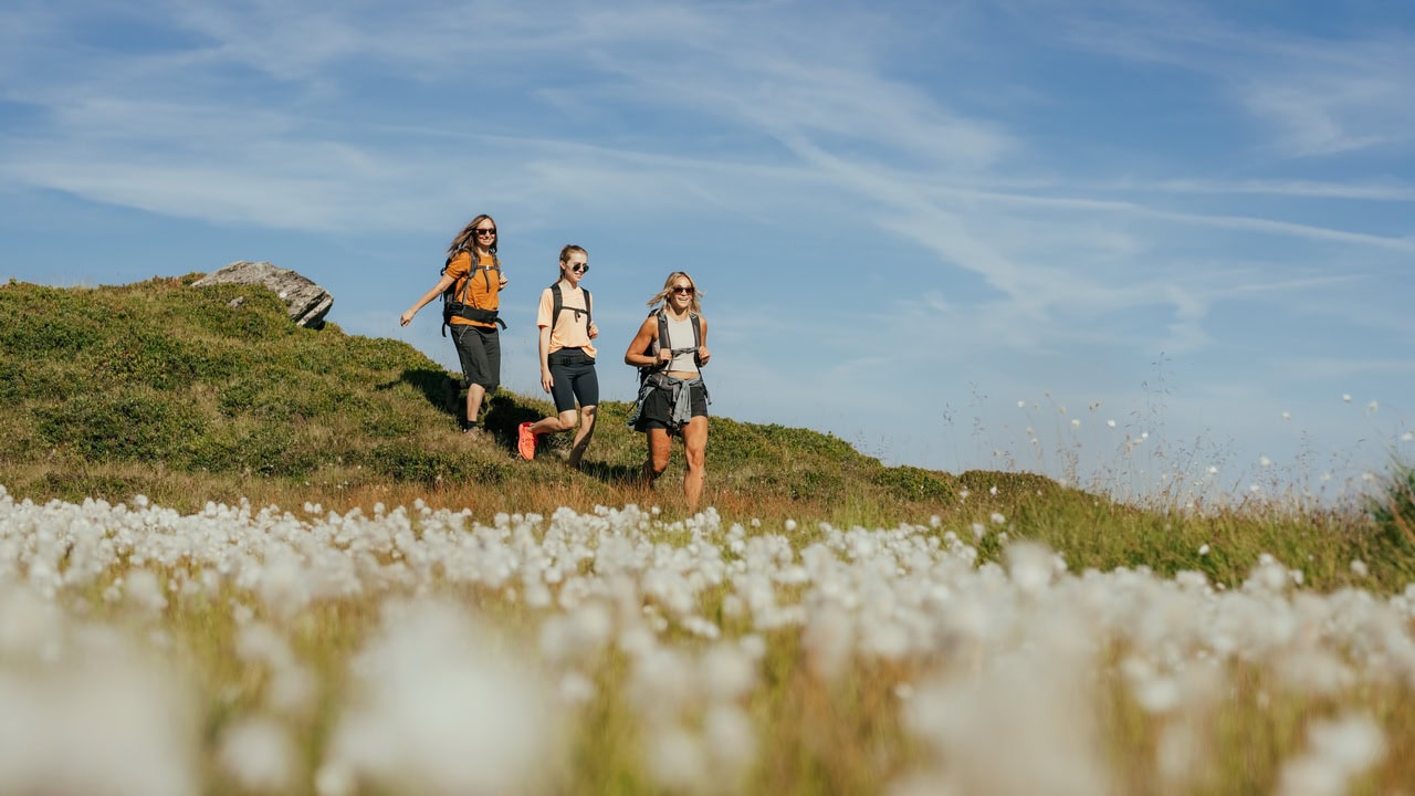 Härlig vandring i Saalbach Hinterglemm